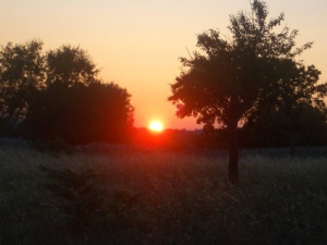 La Valle d'Itria tramonto
