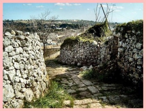 La Valle d'Itria Trulli