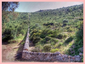 La Valle d'Itria muro a secco