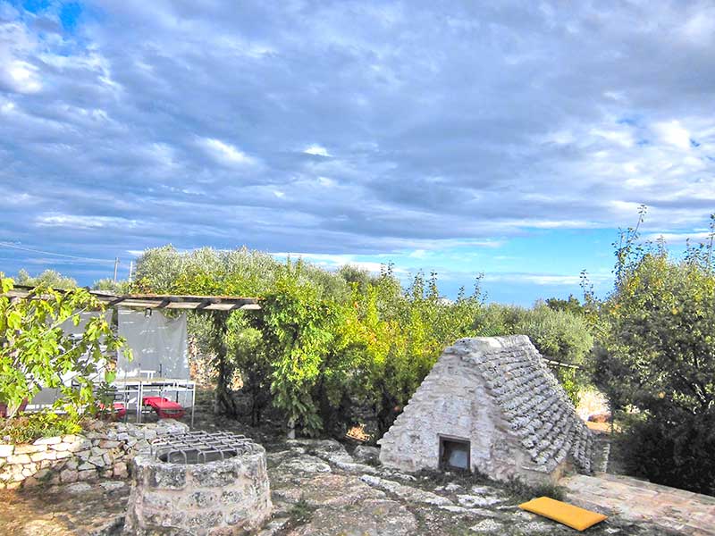 Alberi da frutto, pergole e un piccolo trullo con pozzo in pietra