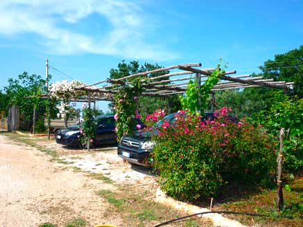 Parcheggio auto coperto da pergola in fiore